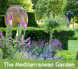 The Mediterranean Garden